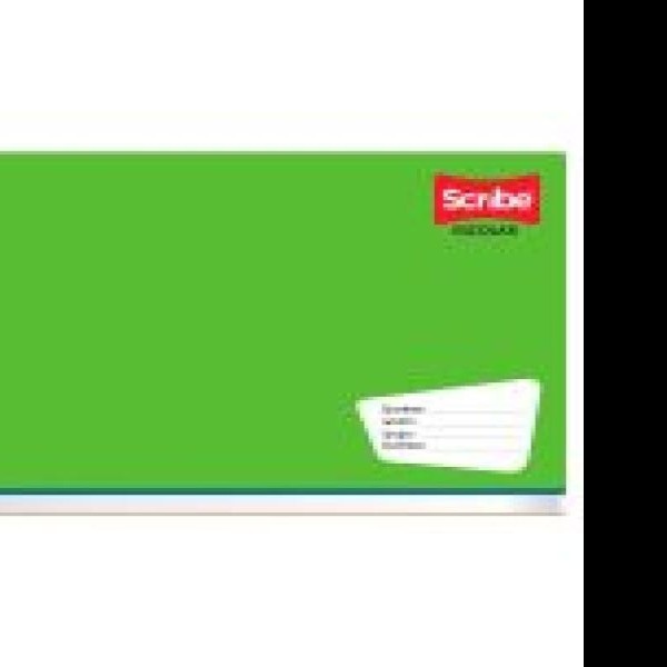 CUADERNO ITAL. SCRIBE 6134 D.RAYA GRAPA 100H. C.48